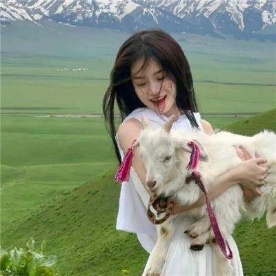 飞哥与小佛第三季